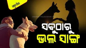 Friendship Day 2024 two example of dog friendship