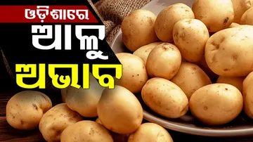 Potato Crisis In Odisha