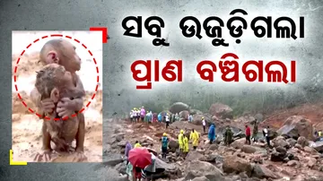 God Saves Life of 2 Innocent Monkeys