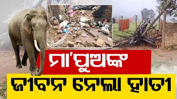 Mother-Son Killed In Elephant Attack In Sundargarh