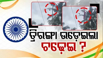 Bird Really Unfurl Stuck National Flag