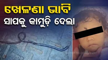 One-Year-Old Boy Bites Snake To Death In Bihar
