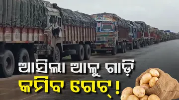 West Bengal Potato Trucks Reach Odisha