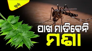 Health tips home remedies for dengue malaria