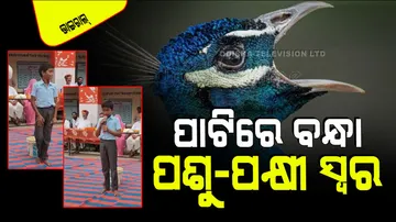 Amazing video school student imitates animal and birds sounds