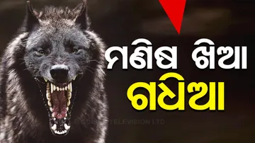 wolf killed 8 people In UP