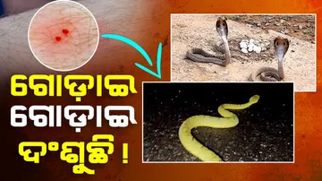 Snakes and Rising Fatalities