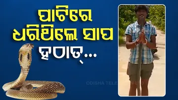 Man dies after putting cobra's head in his mouth