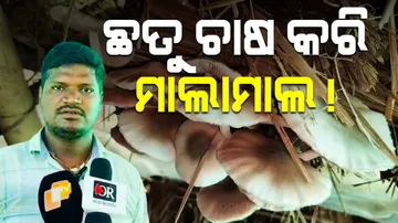 Mushroom Cultivation