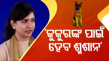 Crematorium for dogs