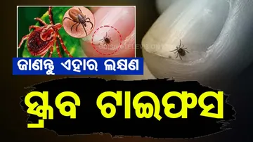 Symptoms of scrub typhus