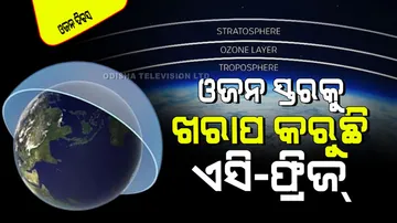 World Ozone Day 2024 ozone layer protects crops