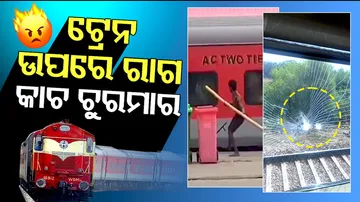  Man Breaks Train Window