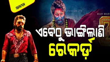 Pushpa 2 earns 900 crore before release