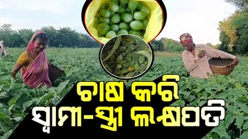 Couple Thrives in Farming