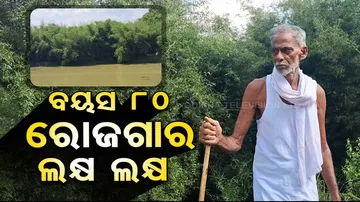 Bamboo Farming Generating Significant Income