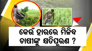 Farmers Demand Compensation