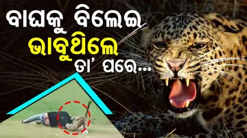 Special Story Picnic Turns Chaotic as Leopard Attacks After Being Provoked