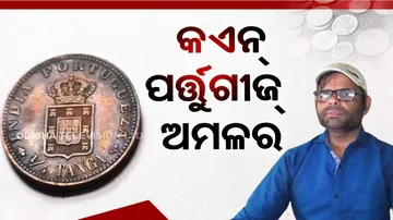 Explore Fascinating Collection