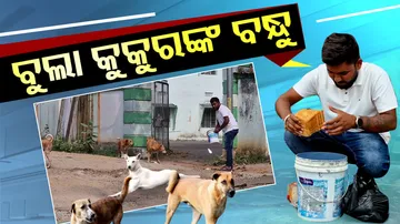Saviour for Stray Animals