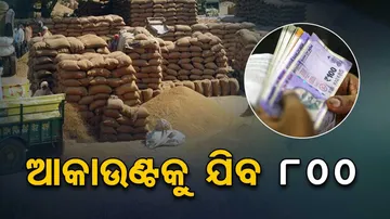Paddy Procurement