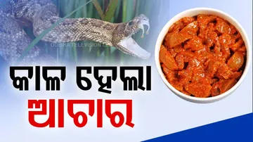 କାଳ ହେଲା ଆଚାର 