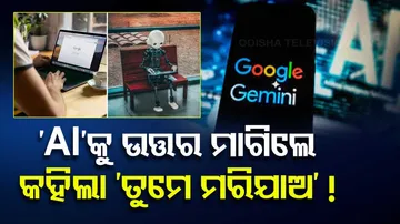 Google's AI chatbot Gemini verbally abuses student