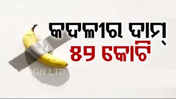 Banana Sells For Rs 52 Crore In Art Auction