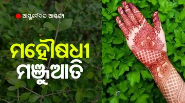 Know the Hair Care Tips hair fall and graying will stop