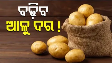 Potato Crisis Returns 