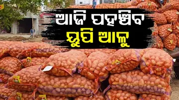 ଆଜି ପହଞ୍ଚିବ ୟୁପି ଆଳୁ