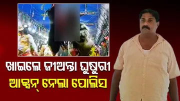 Animal Cruelty In Odisha