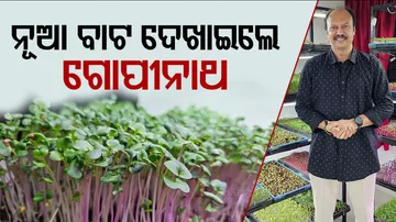 Banker quits job to grow microgreens