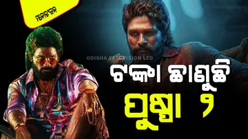 Pushpa 2 opening box office in hindi day 1 