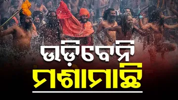 Prayagraj To Introduce Advanced Mosquito Control Technology