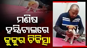 ମଣିଷ ଡାକ୍ତରଖାନାରେ କୁକୁର ଚିକିତ୍ସା