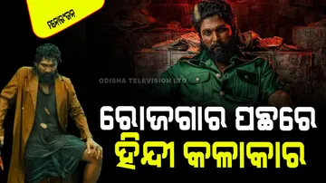 Pushpa 2 hindi voice cast 