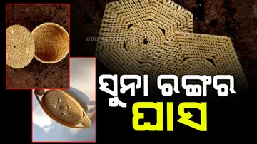 It is made of grass that looks like gold