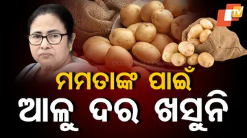  Potato Prices Still High