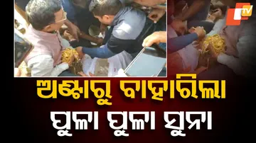 Robbers in Jajpur