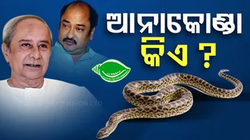 ବିଜେଡିର ଆନାକୋଣ୍ଡା ଉପାଖ୍ୟାନ