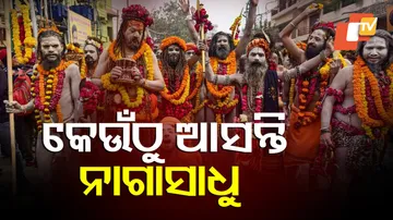 ନାଗାସାଧୁଙ୍କ ଇତିହାସ