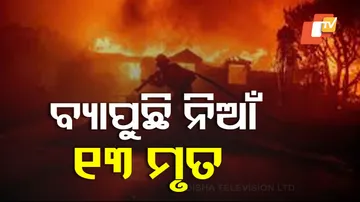 California Los Angeles Wildfires