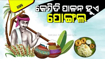 Pongal 2025; know this four days tradition