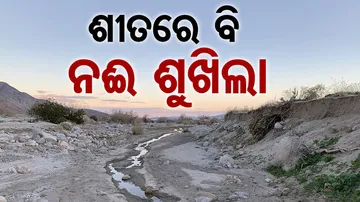 ଶୀତରେ ବି ଶୁଖିଲା ପଡ଼ିଛି ନଦୀଶଯ୍ୟା
