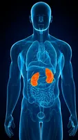 kidney Health Care Tips