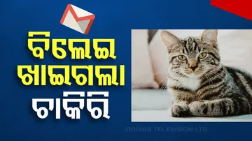 Woman loses job and year end bonus