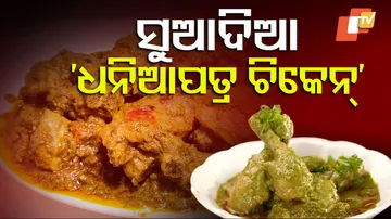 Food and Recipes