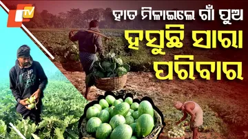 Youths Turn to Farming 