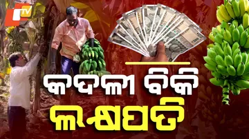 Banana Farming Transformed Akbar Into Millionaire